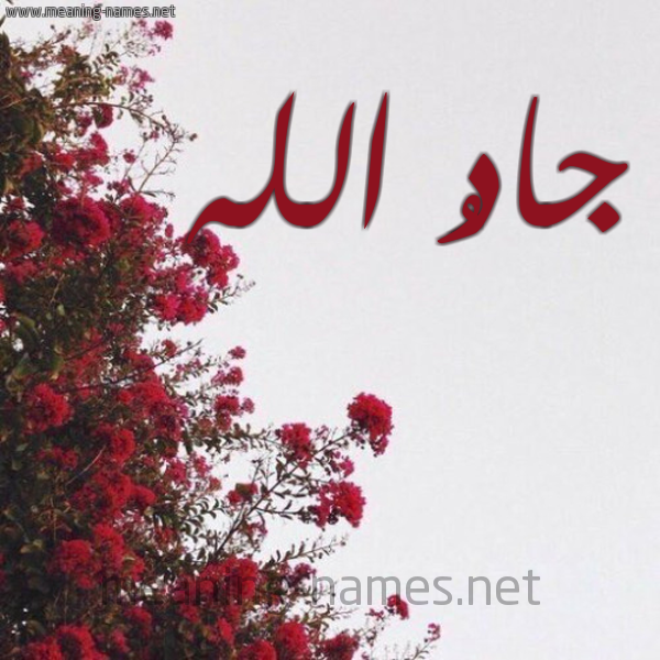 شكل 18 صوره الورد الأحمر للإسم بخط رقعة صورة اسم جادُ الله GADO-ALLH